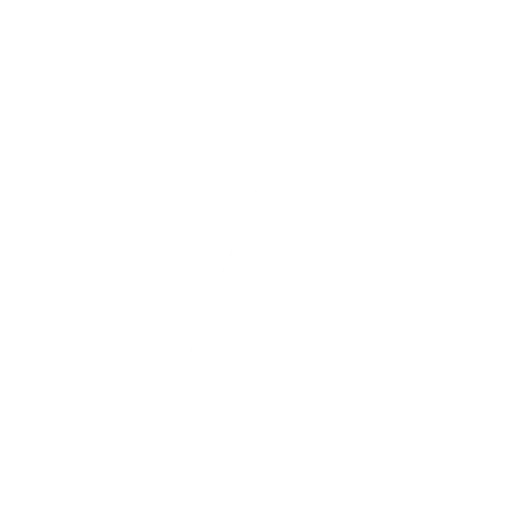Adobe Logo